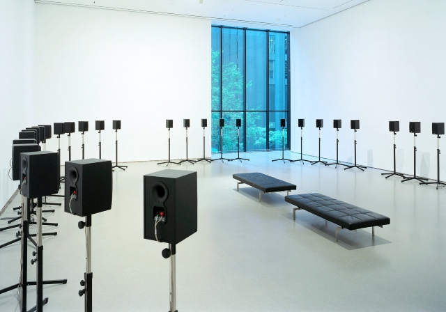 Görmenin Ötesinde: Ses Sanatı