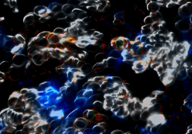 Mikroskobik Gerçeklikten Dijital Benliğe: "Ben’in Ötesi" Galeri/Miz'de