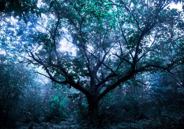 Mamut Art Project'te 33 Yeni Kuşağın Farklı Dillerini Keşfetmeye Hazır Mısınız?