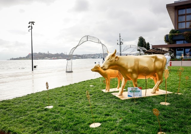 Dikkat: 50 Sanatsal İnek Galataport'ta Karşınıza Çıkabilir!