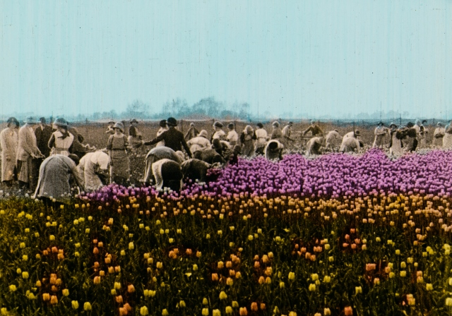 Erken Sinemanın Estetik ve Tarihsel Mirası İstanbul Modern’de İzleyiciyle Buluşuyor