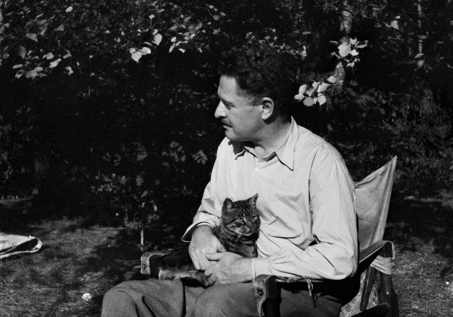 Nâzım Hikmet’in İzinde Bir Ömrün Seyrüseferi: “Romantika” İzmir'de