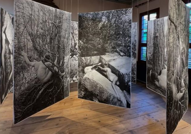 Alternatif Bir Sanat Rotası: Eskişehir’deki Güncel Sergiler ve OMM