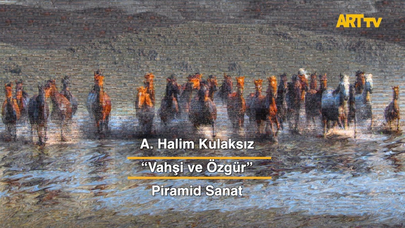 A. Halim Kulaksız | Vahşi ve Özgür | Piramid Sanat