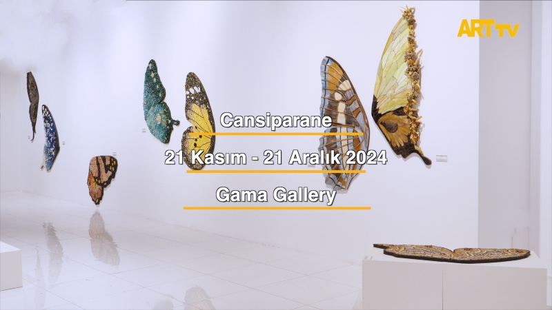 Cansiparane | Gama Gallery