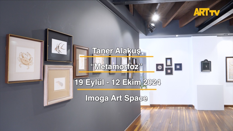 Taner Alakuş | Metamorfoz | Imoga Art Space 