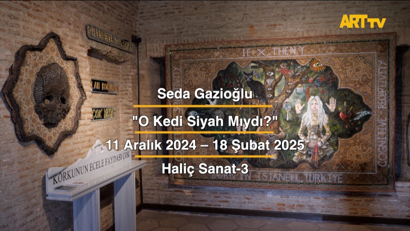 Seda Gazioğlu | O Kedi Siyah Mıydı? | Haliç Sanat-3